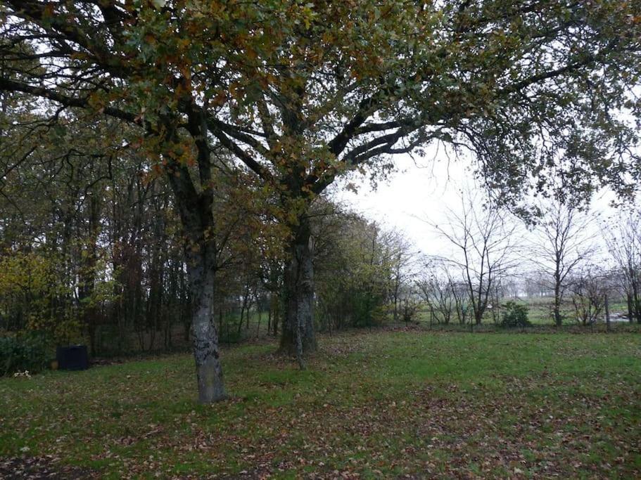 Charmante Maison En Campagne Grand-Fougeray Eksteriør billede